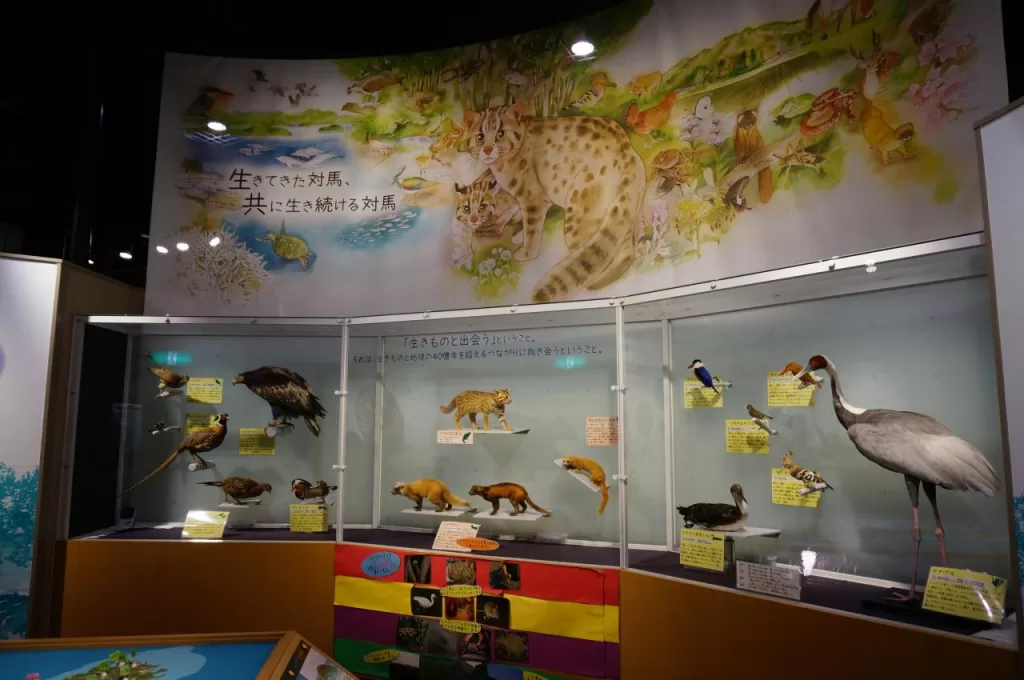 Saozaki Park and the Tsushima Wildlife Conservation Center